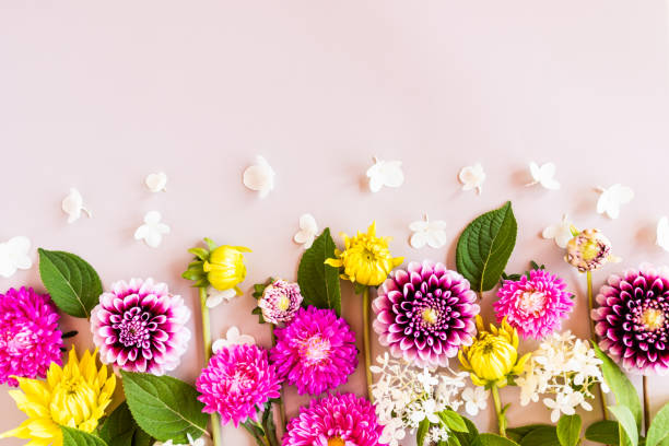 istock colorful autumn flowers in a festive frame. flat layout. border. postcard. space for text. beige background. wallpaper. 1419517180
