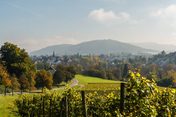 vista a la ciudad de diessenhofen en suiza - thurgau fotografías e imágenes de stock