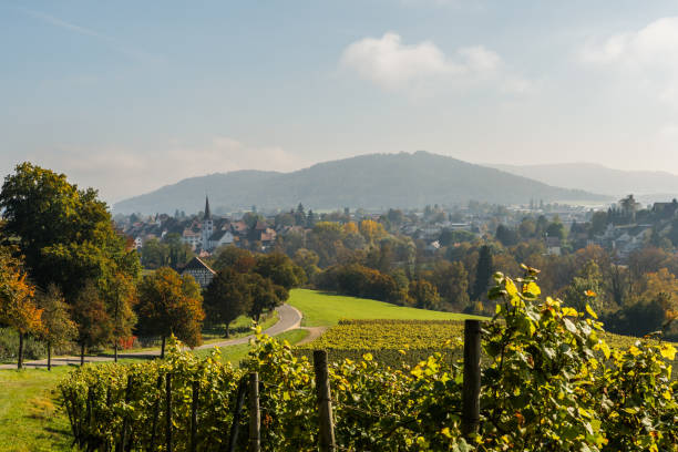 vista para a cidade de diessenhofen na suíça - thurgau - fotografias e filmes do acervo