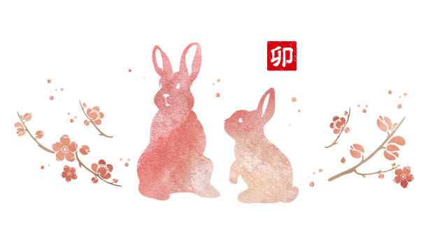 illustrazioni stock, clip art, cartoni animati e icone di tendenza di 2023 anno del coniglio materiale per la carta di capodanno - anno del coniglio