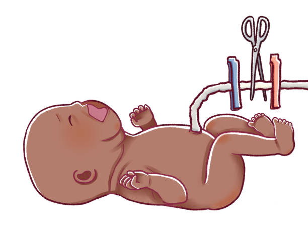 Cutting the umbilical cord of the newborn baby Cutting the umbilical cord of the newborn baby black baby crying drawing stock illustrations