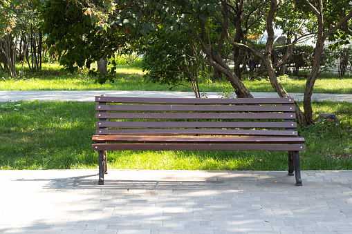 Photo of a wooden bench in the park against the background of trees. Urban landscape, without people. On a sunny summer day.
