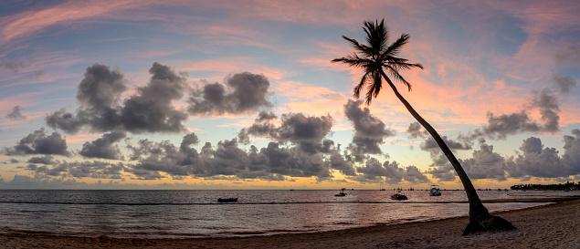 The sun rises in the Dominican Republic, silhouetting a palm tree on the beach in Punta Cana.
