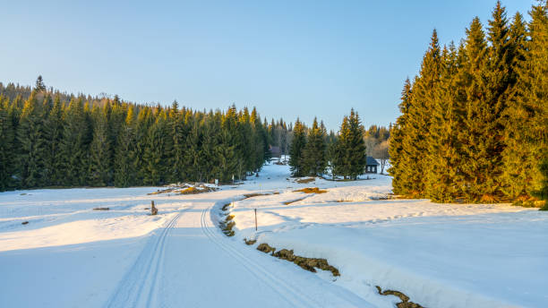 istock Cross-country skiing in Jizera Mountains 1419531659