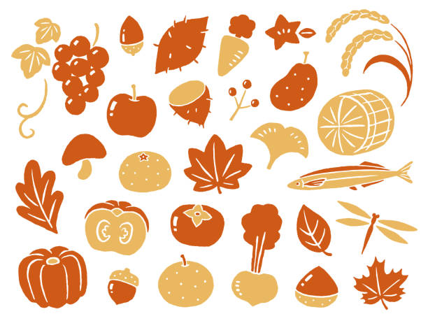 illustrazioni stock, clip art, cartoni animati e icone di tendenza di illustrazione del raccolto autunnale e della natura - squash pumpkin orange japanese fall foliage