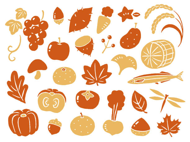 가을 수확과 자연의 그림 - chestnut pumpkin leaf autumn stock illustrations