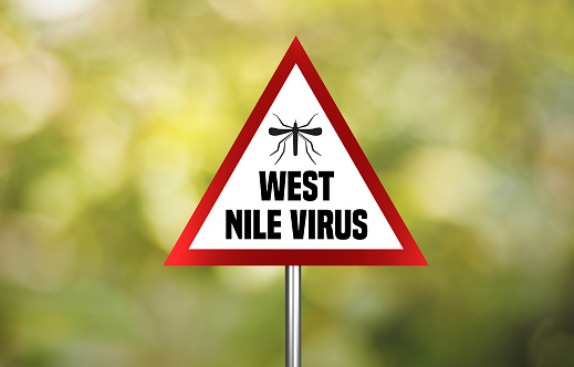 West Nile Virus Warning Concept