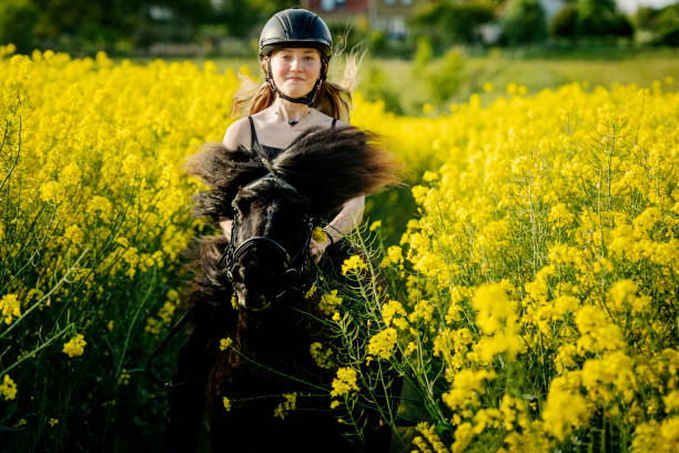 istock Horseriding Through a Canola field. 1419536751
