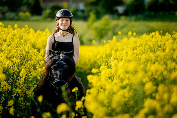 istock Horseriding Through a Canola field. 1419536859