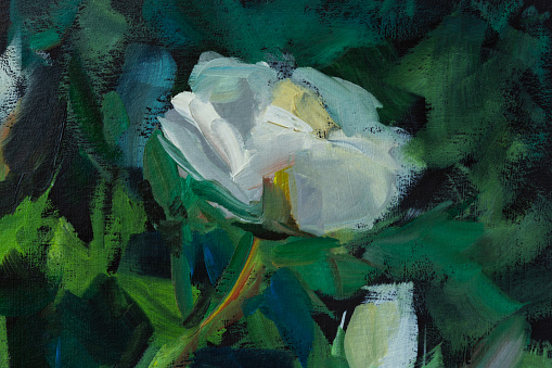 White roses oil painting. Author's oil illustration. The texture of the brushstrokes in close-up. White flowers on a green dark background. Vintage paint drawing. Artwork, modern impressionism