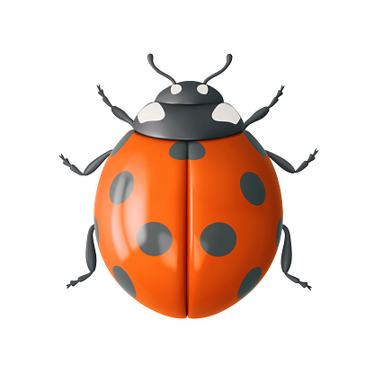 Orange ladybug isolated on white background. Top view. 3D rendering with clipping path