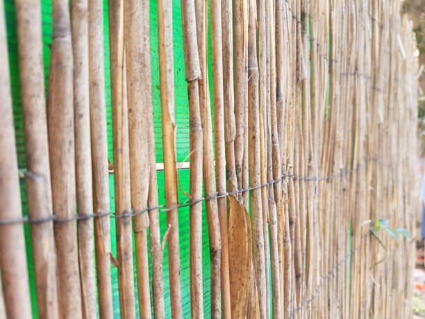 istock Sticks garden fence 1419538204