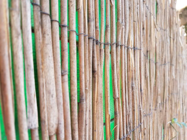 istock Sticks garden fence 1419538812