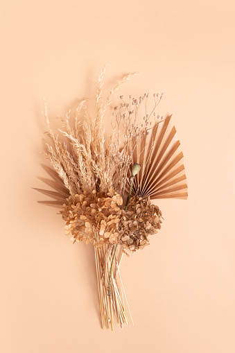 Bouquet of beige dried flowers, grass and leaves on beige background top view.