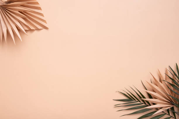 istock Decorative tropical palm dry leaves on beige background. Copy space 1419539571