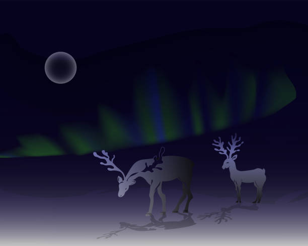 Winter snowy landscape, deers are walking. The moon and northern lights are in the sky. Atmospheric winter illustration. alaska northern lights stock illustrations