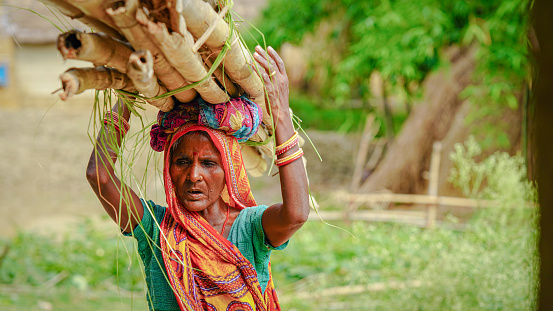 Sitamarhi, Bihar, India- 14 June 2022 :rural women doing hard work weight take on head