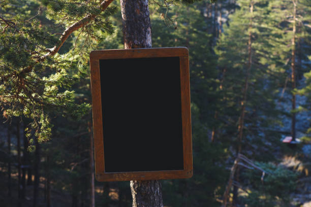 istock Notice board mockup attached to a pine tree in woodland 1419543102