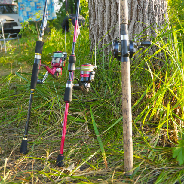 istock Spinning rods with lures ready for fishing 1419545970