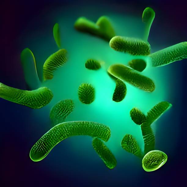 istock close up of 3d microscopic bacteria 1419546391
