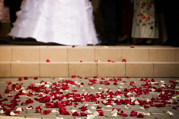Rose-petals on the sidewalk with newly-weds in background