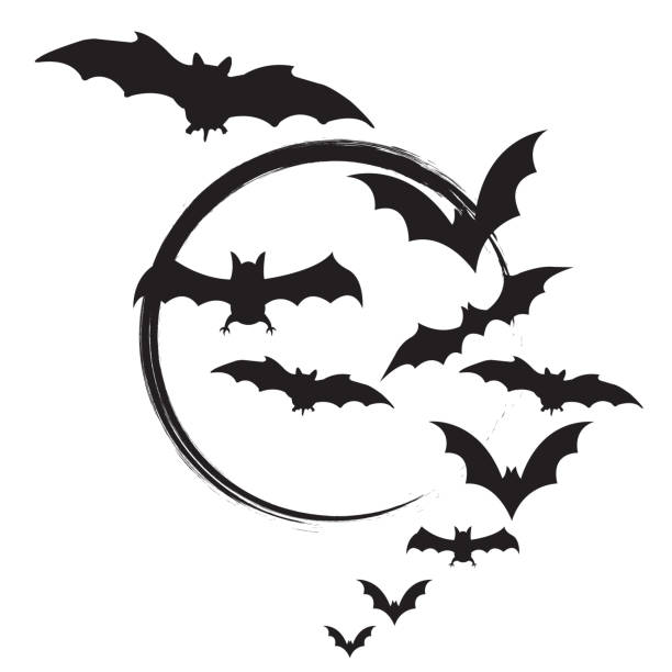 ilustraciones, imágenes clip art, dibujos animados e iconos de stock de conjunto de iconos de murciélago negro de halloween, siluetas de murciélagos, símbolo de halloween, sobre fondo blanco. - bat halloween silhouette wing