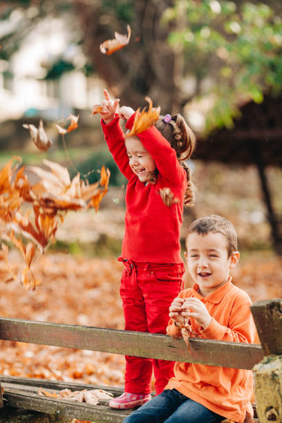 Children playing with dry maple leafs in the park