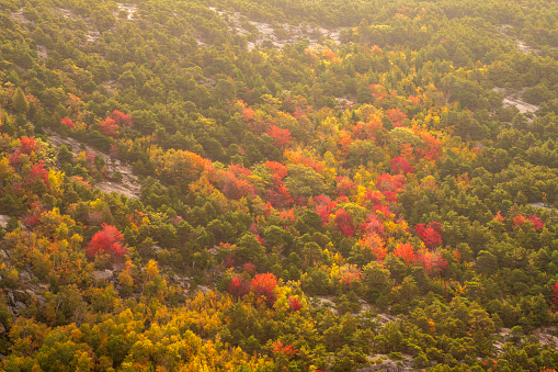 Fall colors, Acadia National Park, Mount Desert Island, Maine, USA