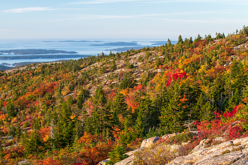 Fall colors at Cadillac Mountain, Acadia National Park, Mount Desert Island, Maine, USA
