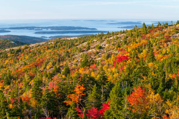 istock Fall colors at Cadillac Mountain 1419560028