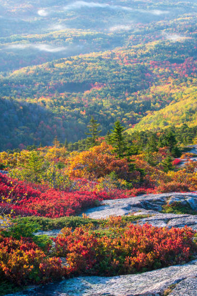 istock Fall colors at Cadillac Mountain 1419560048
