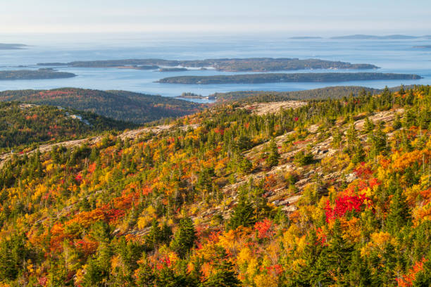 istock Fall colors at Cadillac Mountain 1419560105