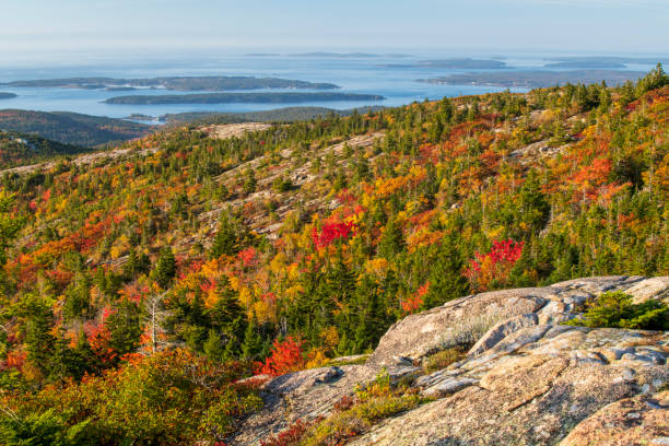 istock Fall colors at Cadillac Mountain 1419560108