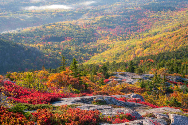 istock Fall colors at Cadillac Mountain 1419560136