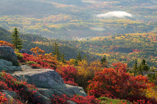 Fall colors at Cadillac Mountain, Acadia National Park, Mount Desert Island, Maine, USA