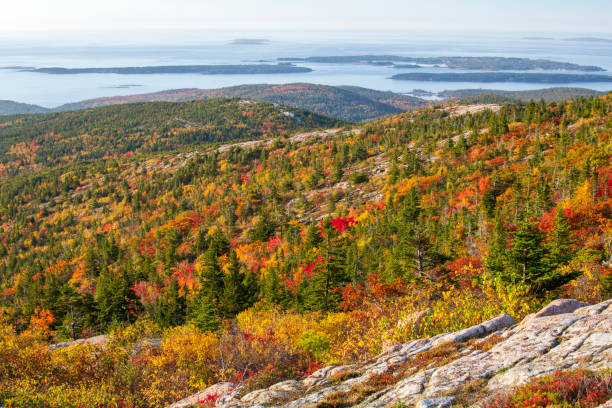 istock Fall colors at Cadillac Mountain 1419560176