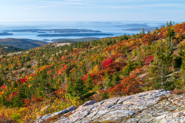 istock Fall colors at Cadillac Mountain 1419560183