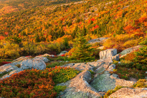 istock Fall colors at Cadillac Mountain 1419560262