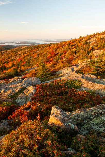 istock Fall colors at Cadillac Mountain 1419560266