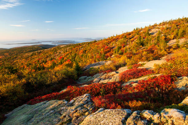 istock Fall colors at Cadillac Mountain 1419560311