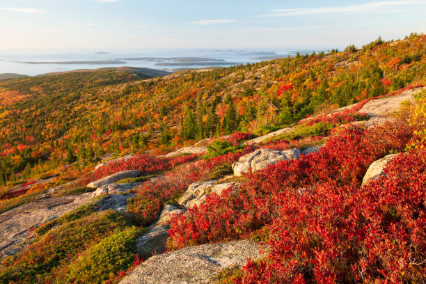 colori autunnali a cadillac mountain - cadillac mountain maine new england usa foto e immagini stock