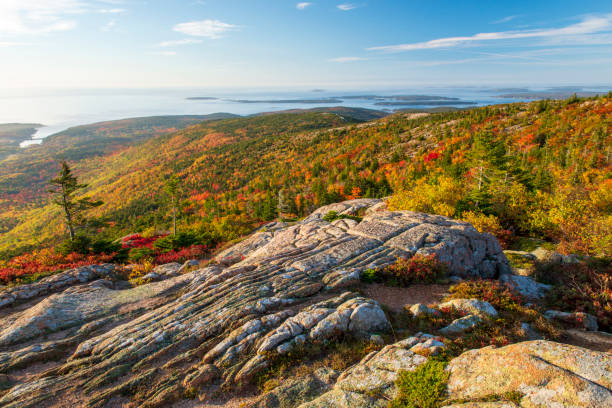 herbstfarben am cadillac mountain - cadillac mountain stock-fotos und bilder