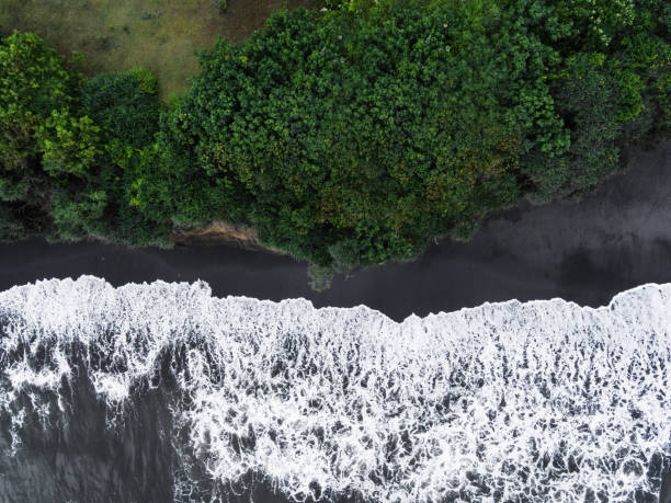 istock Volcanic beach in bali 1419564667