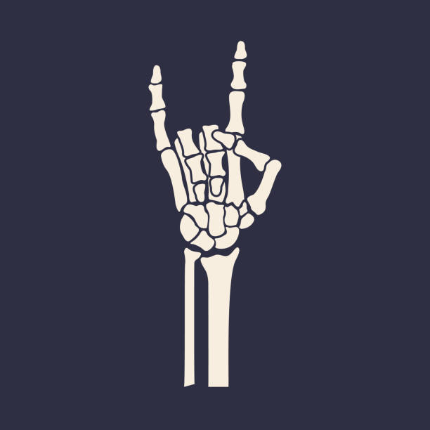 illustrazioni stock, clip art, cartoni animati e icone di tendenza di mano scheletro con gesto rock isolato su fondo bianco. illustrazione vettoriale - scheletro umano