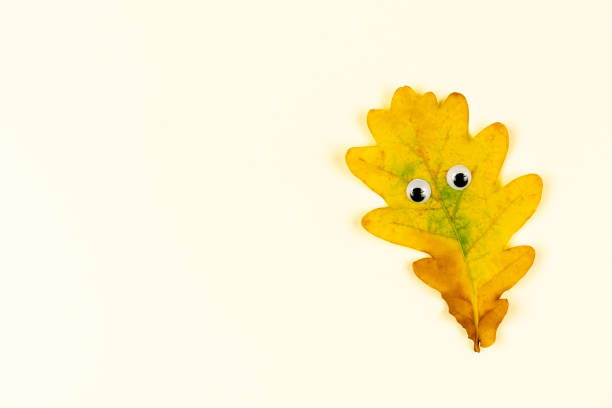 istock Autumn fallen yellow leave with funny face on white background. 1419568256