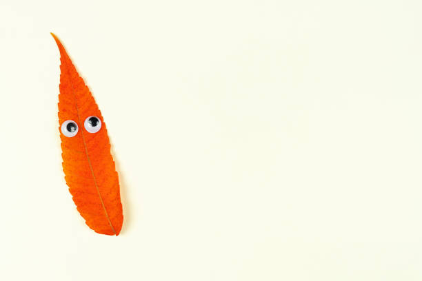 istock Autumn fallen red leave with funny face on white background. 1419568727