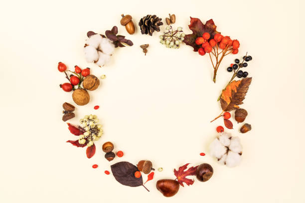 istock Round frame different colorful dry leaves nuts berries. 1419568803