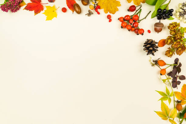 istock Beautiful frame of dry fallen leaves nuts and berries. 1419568862