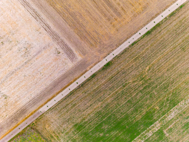 Aerial view of dirt road and fields after drought form natural geometric shapes and patterns stock photo