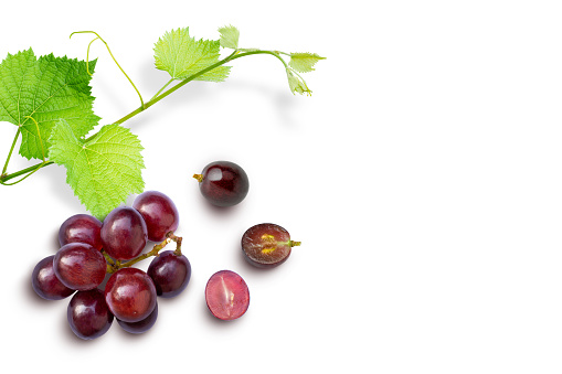 Green grapes in vineyard.